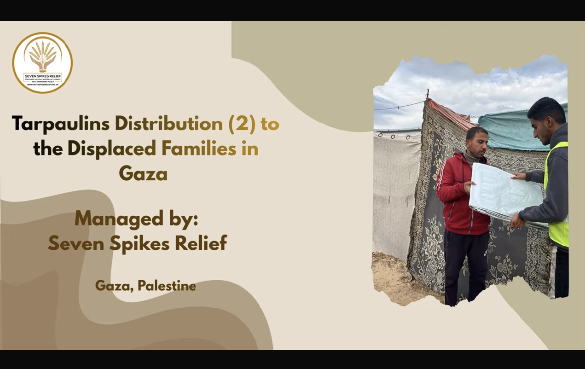 Projects in Gaza in collaboration with Seven Spikes Charity