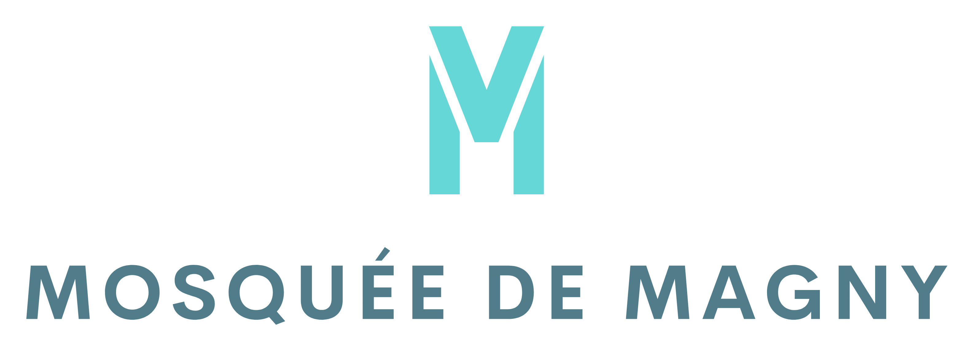 Mosquée El Fath Magny